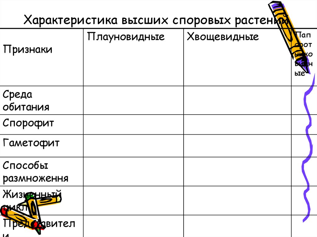 Характеристики высших. Характеристика отделов высших споровых растений. Характеристика высших споровых растений таблица. Высшие споровые растения сравнительная таблица. Характеристика высших споровых растений.