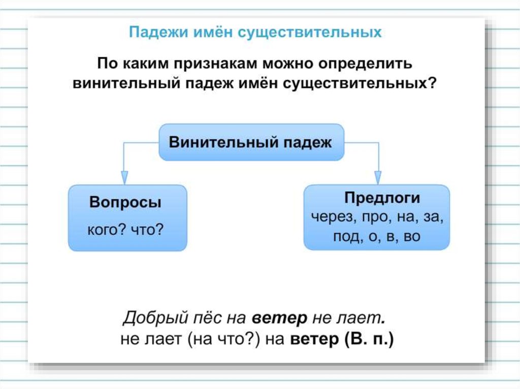 Винительный падеж - презентация онлайн
