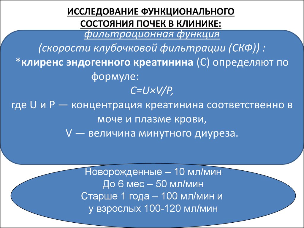 Функциональные исследования. Биохимические методы оценки функционального состояния почек. Метод исследования функционального состояния почек. Исследование функционального состояния почек проводится тест. Исследование функции почек.