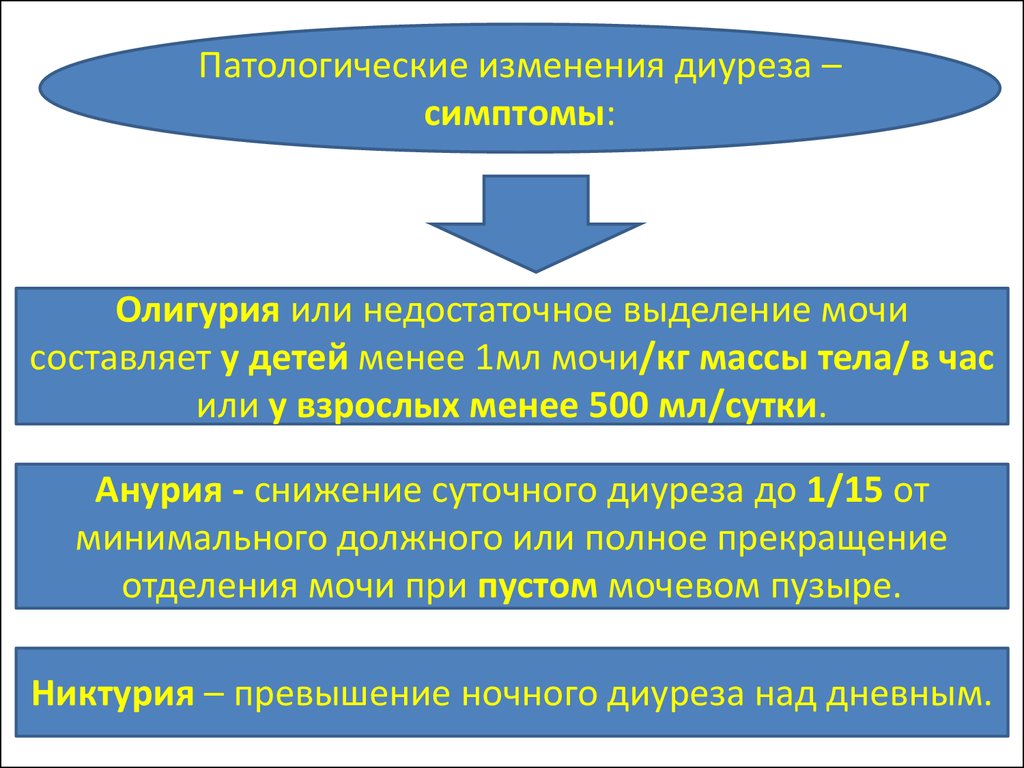 Изменение диуреза. Патологические изменения диуреза. Диуреза олигурия анурия в мл/час. Превышение ночного диуреза над дневным встречается при. Превышение ночного диуреза над дневным тест аккредитация.