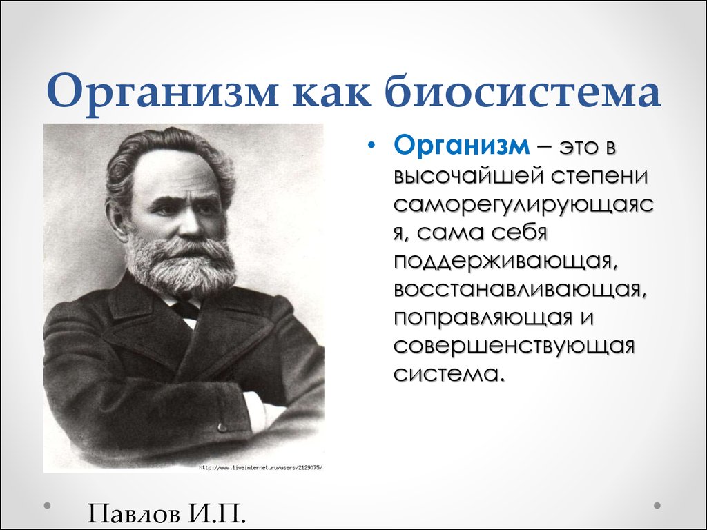 Биосистема это. Организм как биосистема. Организм как биологическая система. Организм открытая Живая система биосистема. Организм как Живая биосистема.