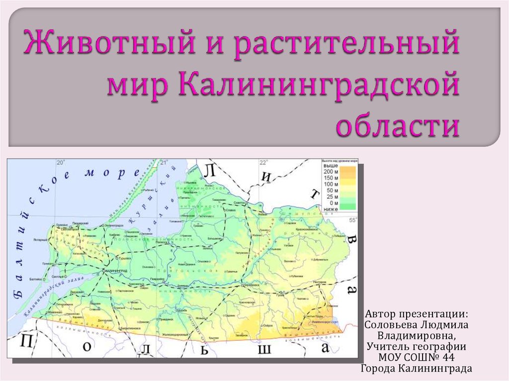 Карта растительного и животного мира калининградской области