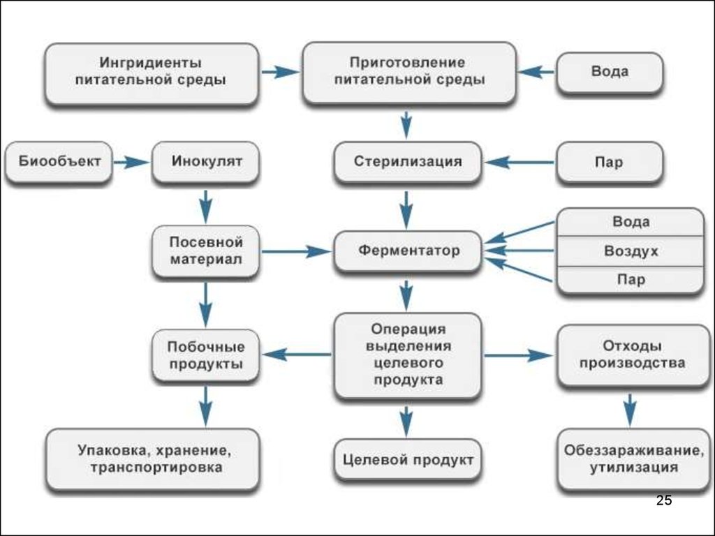 Какой процесс получения. Процесс ферментации схема. Основная схема и компоненты биотехнологического производства. Обобщенная схема процессов в биотехнологии. Схема производственного биотехнологического процесса.