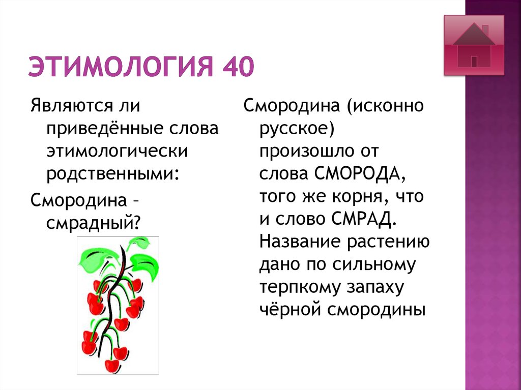 Исконные слова словарь. Смородина этимология. Происхождение слова смородина. Этимологические родственные слова примеры. Этимология родственных слов.