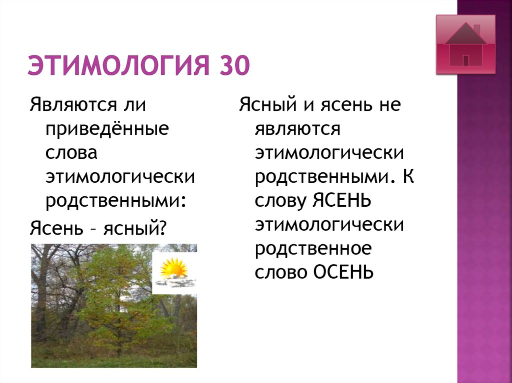 Явился родственные слова. Этимология родственных слов. Этими логические родственные слова. Этимологические родственные слова. Этимологически родственные слова примеры.