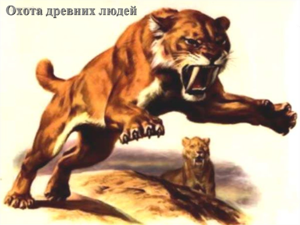 Охота древних людей