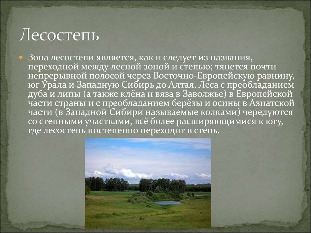 Описание природной зоны лесостепи и степи по плану 7 класс география