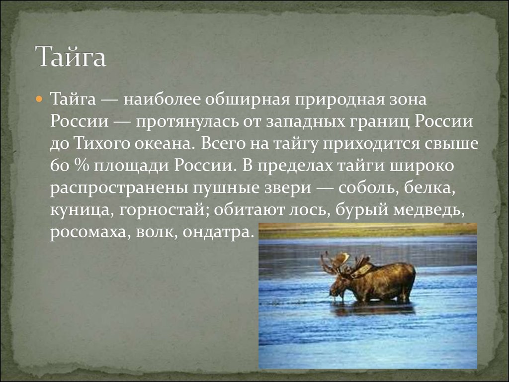 Подготовить сообщение 4 класс. Доклад о природной зоне. Презентация на тему природные зоны. Доклад на тему природные зоны России. Презентация на тему природные зоны России.