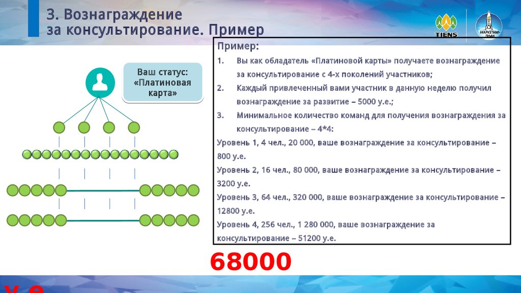 Маркетинг тяньши маркетинг план