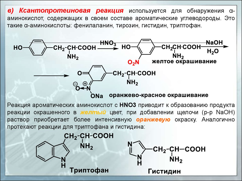 Полипептиды с азотной кислотой. Ксантопротеиновая реакция на тирозин. Ксантопротеиновая реакция триптофан. Триптофан с азотной кислотой. Ксантопротеиновая реакция фенилаланин. Фенилаланин.
