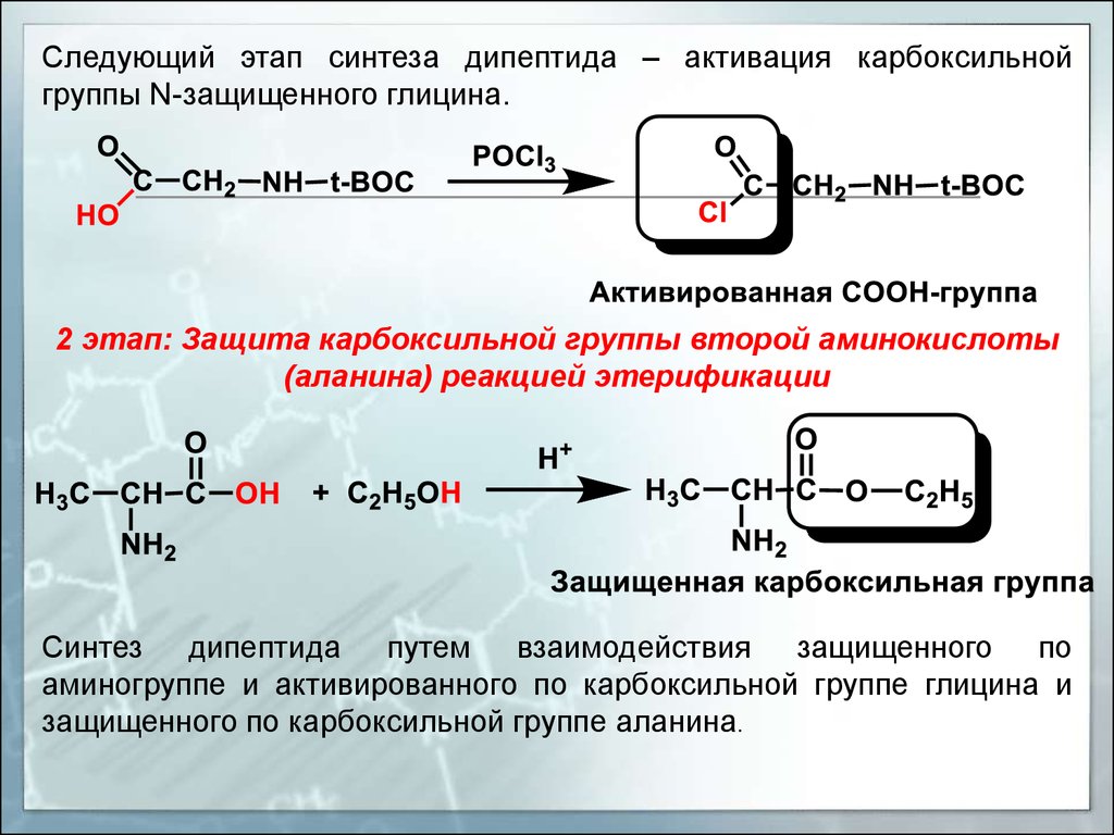 Фф скз реакции. Синтез n концевого дипептида. Защита карбоксильной группы. Активация карбоксильной группы. Синтез полипептида реакция.