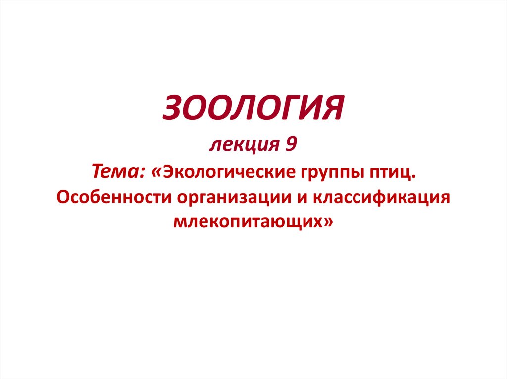 Презентация по теме экологические группы млекопитающих