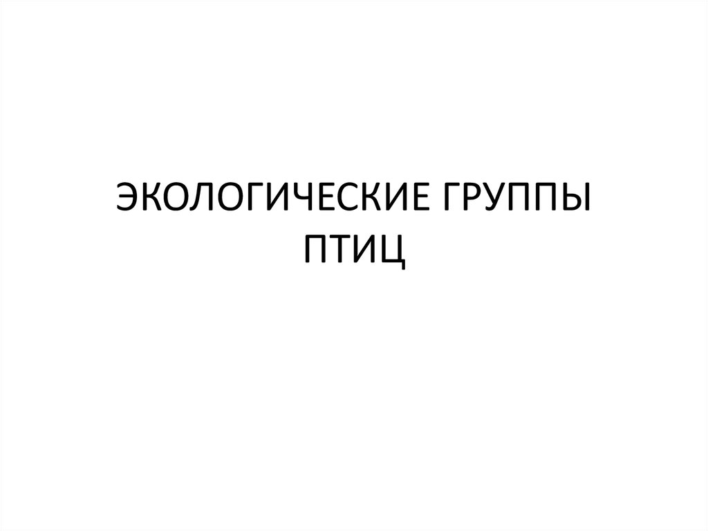 ЭКОЛОГИЧЕСКИЕ ГРУППЫ ПТИЦ