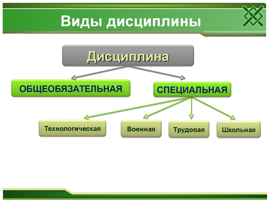 Виды специальных дисциплин. Виды дисциплины. Схема виды дисциплины. Вид дисциплины специальная и. Виды дисциплины Обществознание 7 класс.