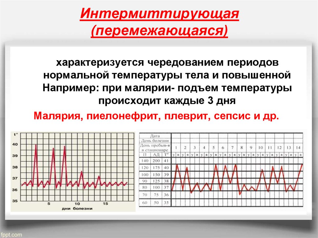 Тела заболевания повышение температуры. Интермиттирующая лихорадка температурный. Перемежающаяся лихорадка температурная кривая. Тип температурной Кривой при интермиттирующей лихорадке. Интермиттирующая лихорадка температурный лист.