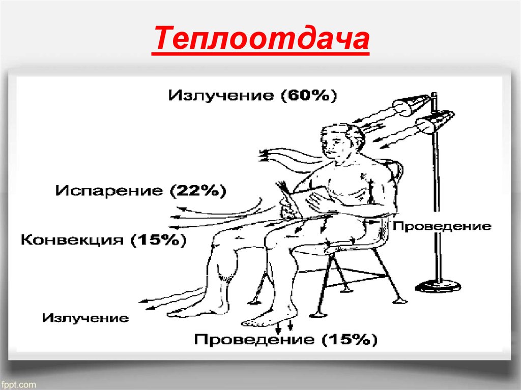 Теплообмен путем излучения. Пути теплоотдачи организма человека. Теплоотдача физиология. Виды теплоотдачи физиология. Испарение теплоотдача.