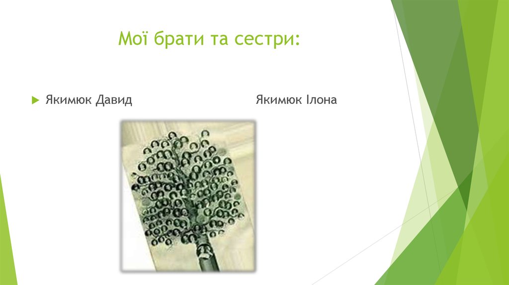 Мої брати та сестри: