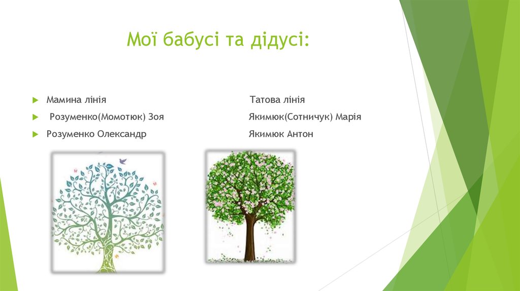 Мої бабусі та дідусі: