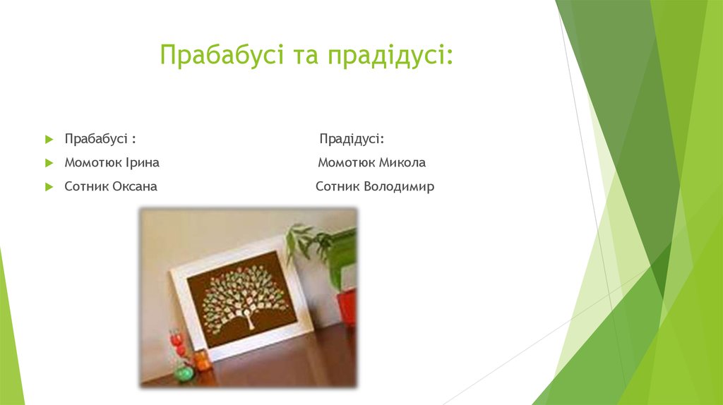 Прабабусі та прадідусі: