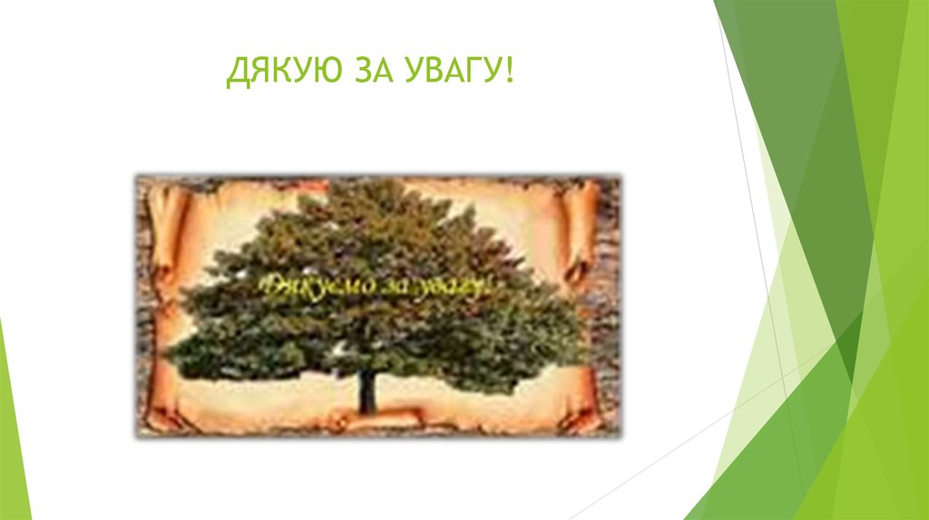 ДЯКУЮ ЗА УВАГУ!