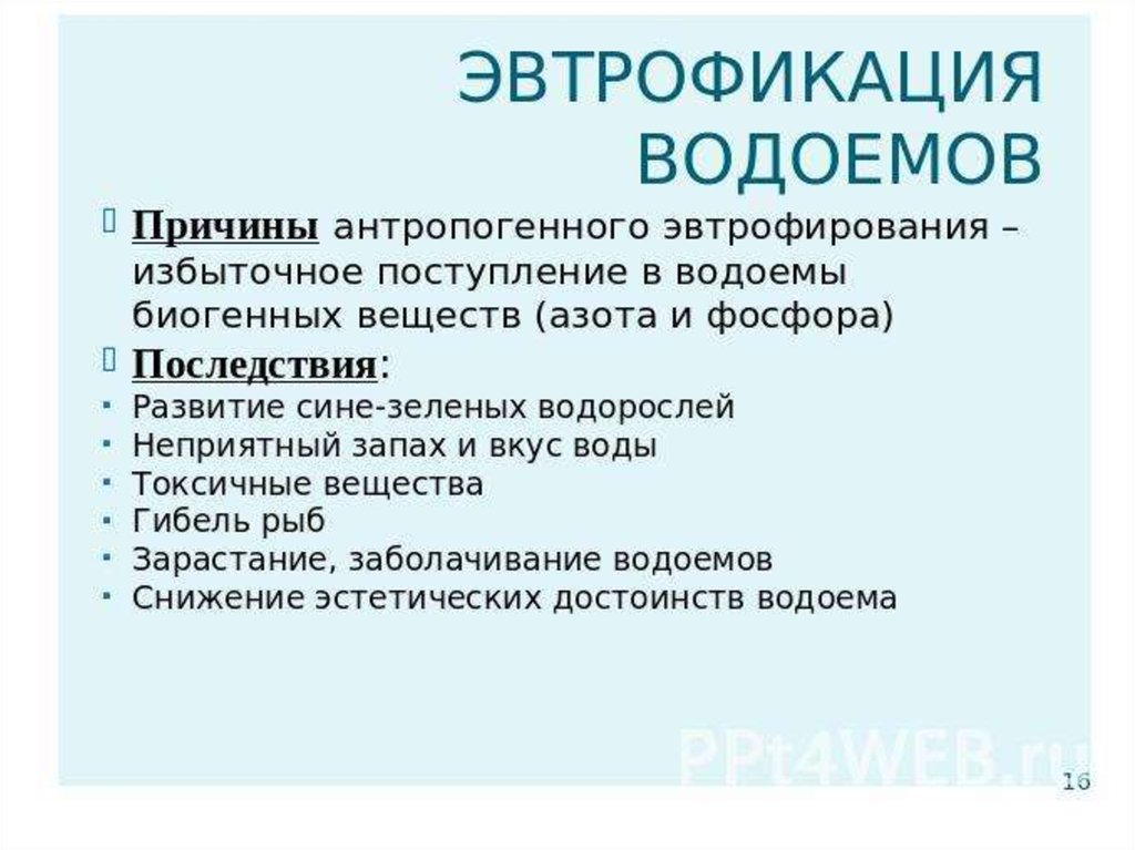 Водоемы причины. Эвтрофикация водоемов причины. Антропогенное эвтрофирование водоемов. Эвтрофикация последствия. Последствия антропогенной эвтрофикации водоёмов.