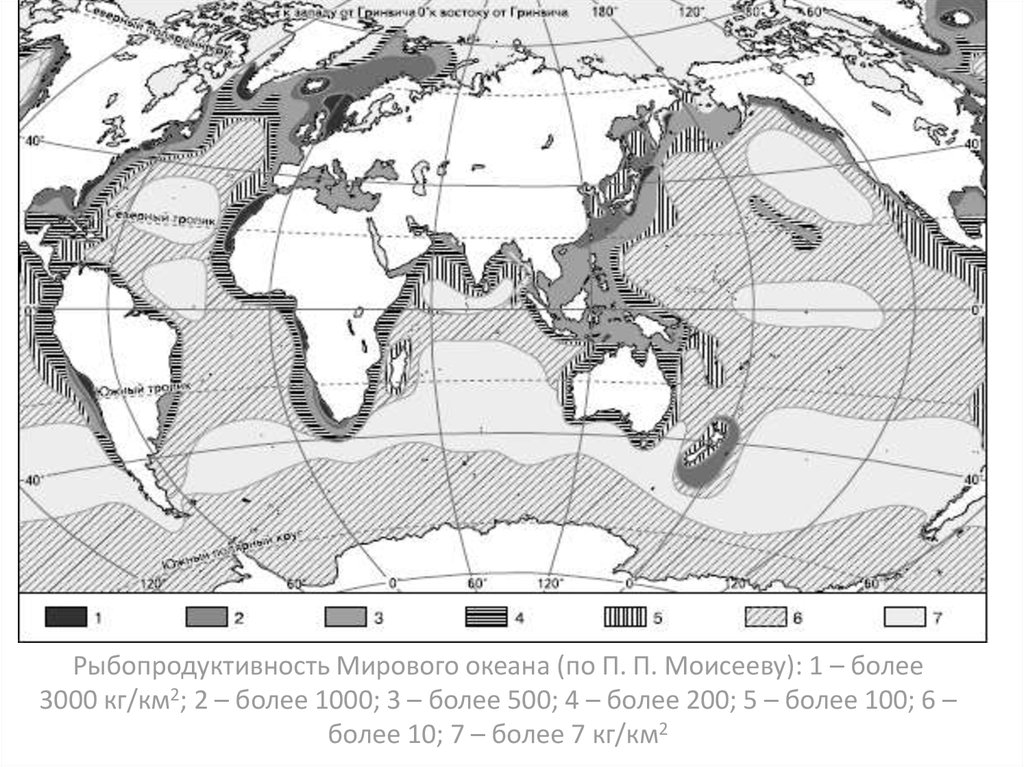 Географические зоны океана. Зоны максимальной продуктивности мирового океана. Рыбопродуктивность мирового океана. Рыбопродуктивность мирового океана на карте. Первичная продукция в океане.
