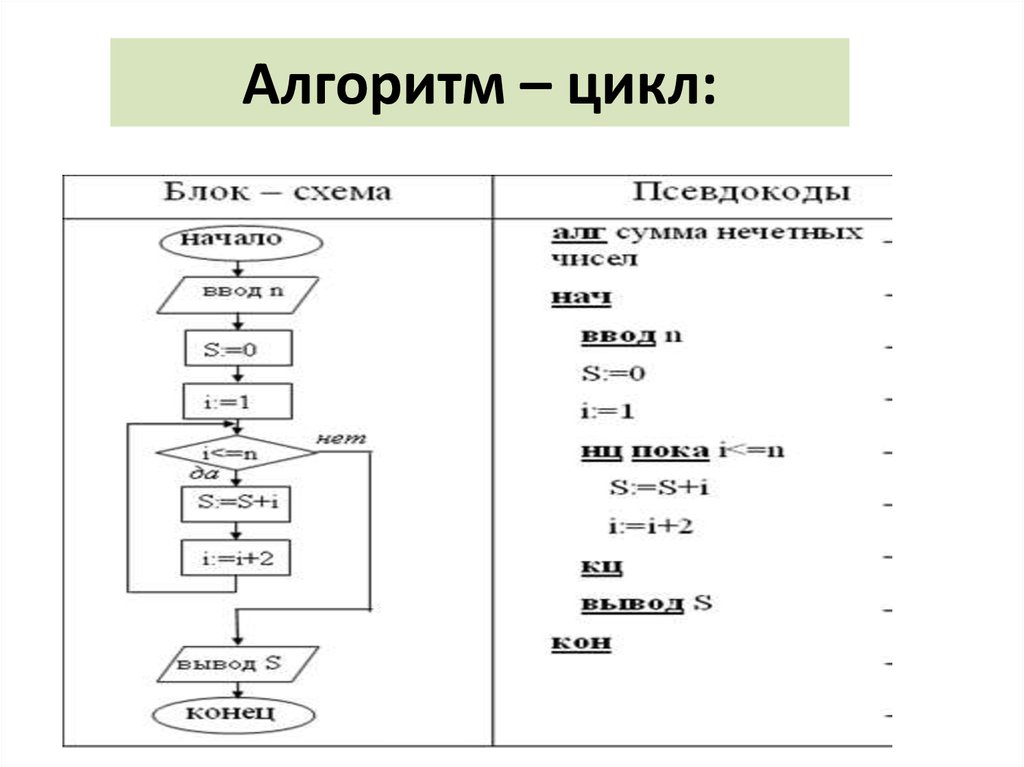 Школьный алгоритмический язык. Циклический алгоритм на алгоритмическом языке. Циклический алгоритм цикл пример. Циклический алгоритм цикл пока. Блок-схема алгоритма цикл.