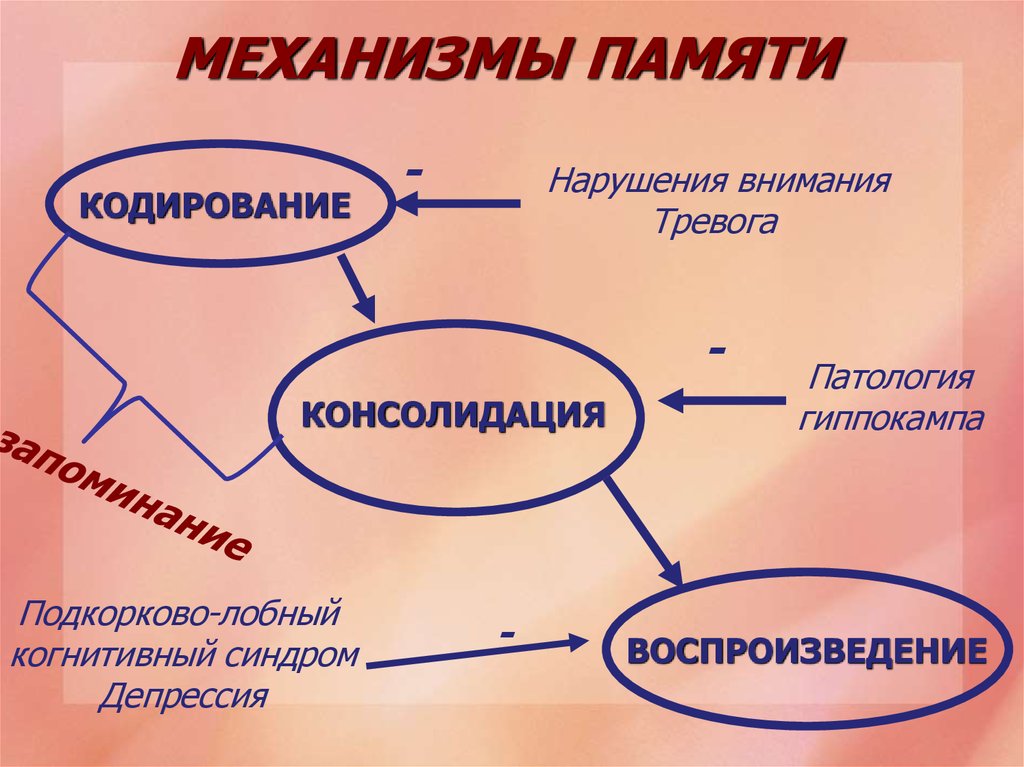 Нарушения памяти схема