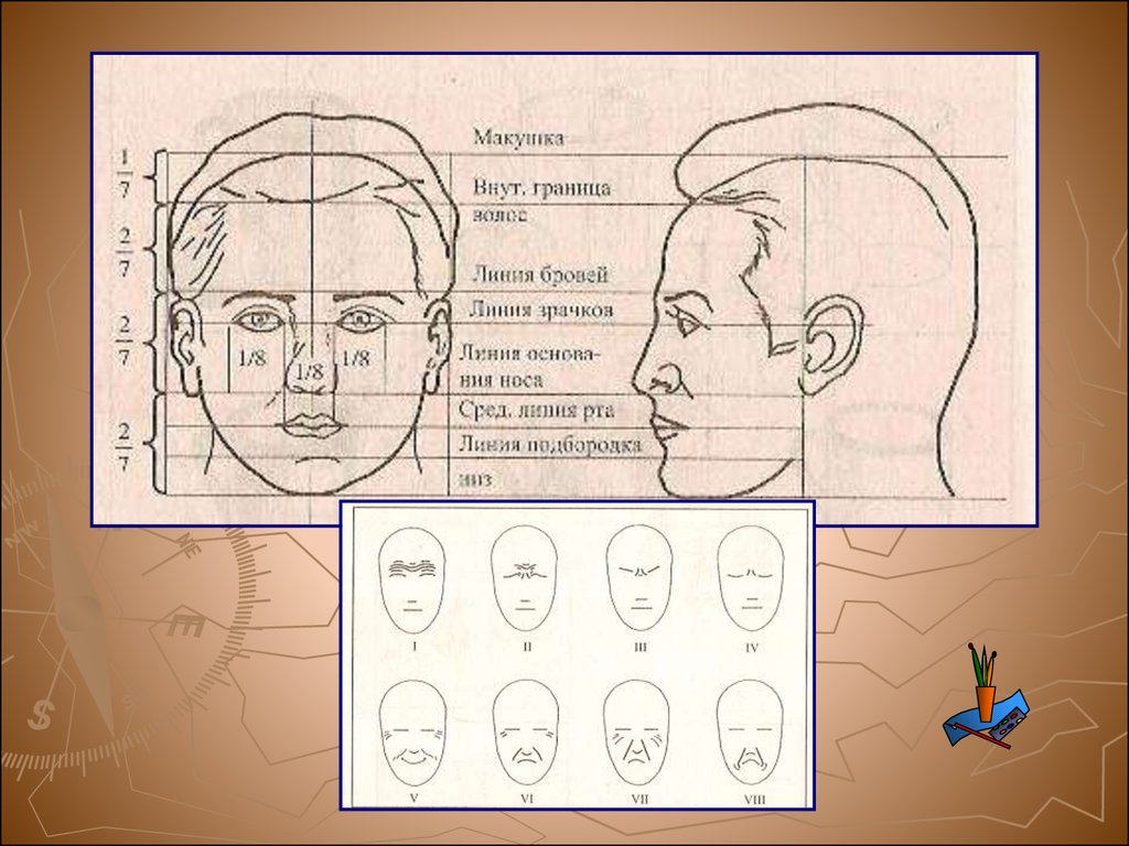 Рисунок пропорции выражают характер