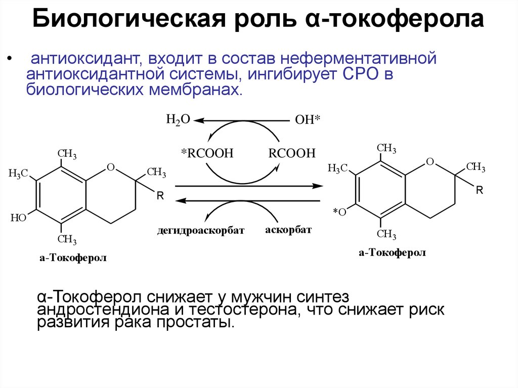 Реакция роль. Биохимические функции витамина е. Функции витамина е биохимия. Биологическая роль токоферола. Витамин е реакции биохимия.