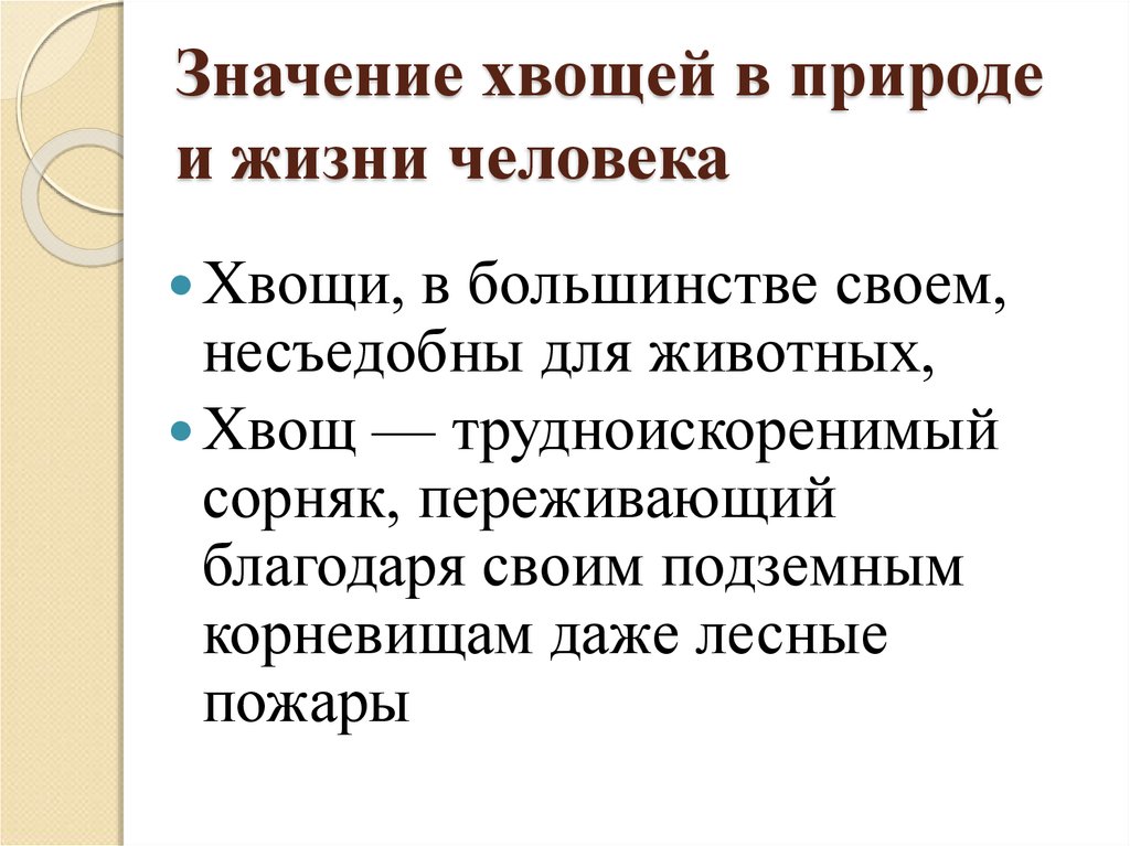 Плауны значение в природе. Значение хвощевидных в природе и жизни человека. Значение хвощей в природе и жизни. Хвощевидные роль в природе и жизни человека. Значение хвощей и плаунов в природе и жизни человека.