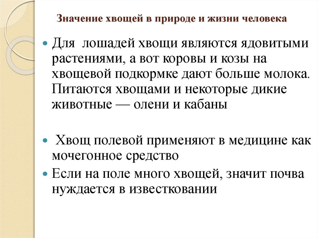 Хвощи значение в природе и жизни человека. Роль хвощей в жизни человека. Значение хвощевидных в природе и жизни человека. Значение хвощей и плаунов в природе и жизни человека. Значение хвощей в природе и жизни человека.