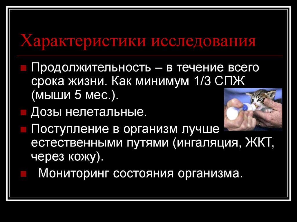 Сроки исследования. Характеристика исследования. Характеристика опроса. Исследователь характеристика. Изучение токсичности.