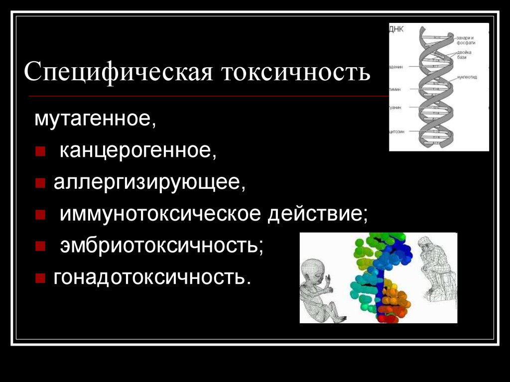 Изучение токсичности. Специфические виды токсичности. Специфическая токсичность. Специфическое токсическое действие. Виды исследований специфической токсичности.