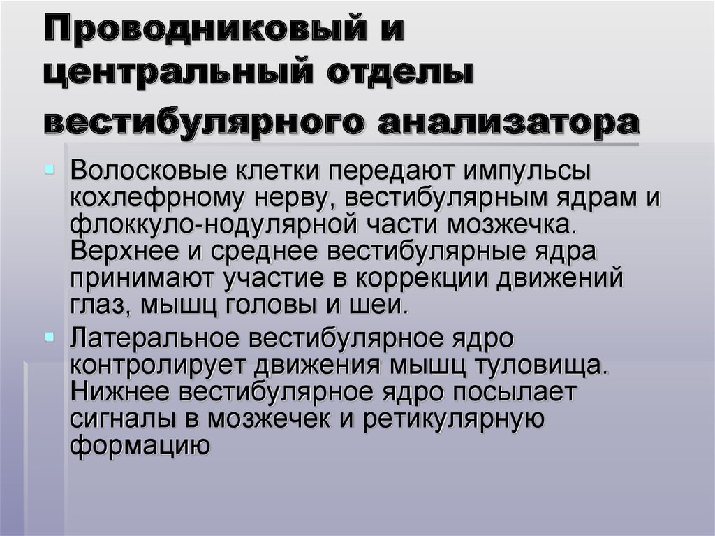 Центральный отдел анализатора. Отделы вестибулярного анализатора. Проводниковый и Центральный отделы. Центральный отдел вестибулярного анализатора. Проводниковый и Центральный отделы анализатора.