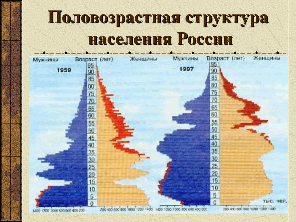 Презентация половозрастная структура населения россии 8 класс