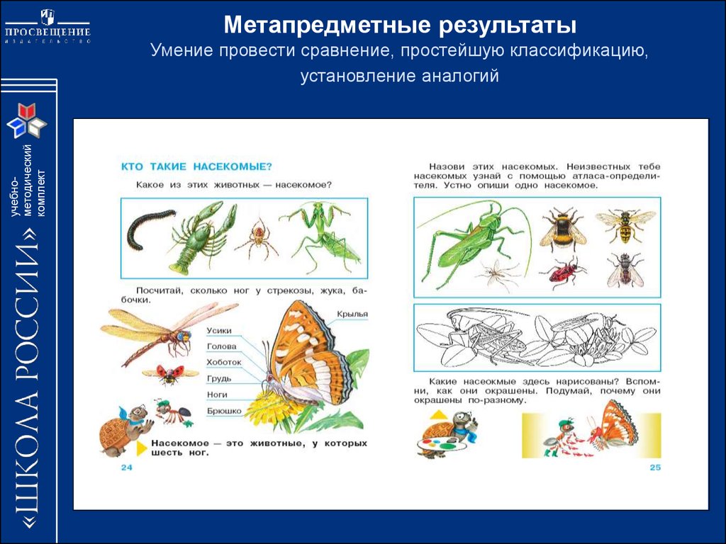 Метапредметные умения. Метапредметные задания. Метапредметные задачи по биологии. Задания по окружающему миру на метапредметные Результаты.