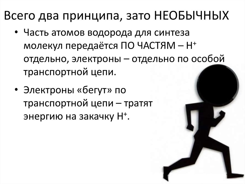 О таком принципе а это
