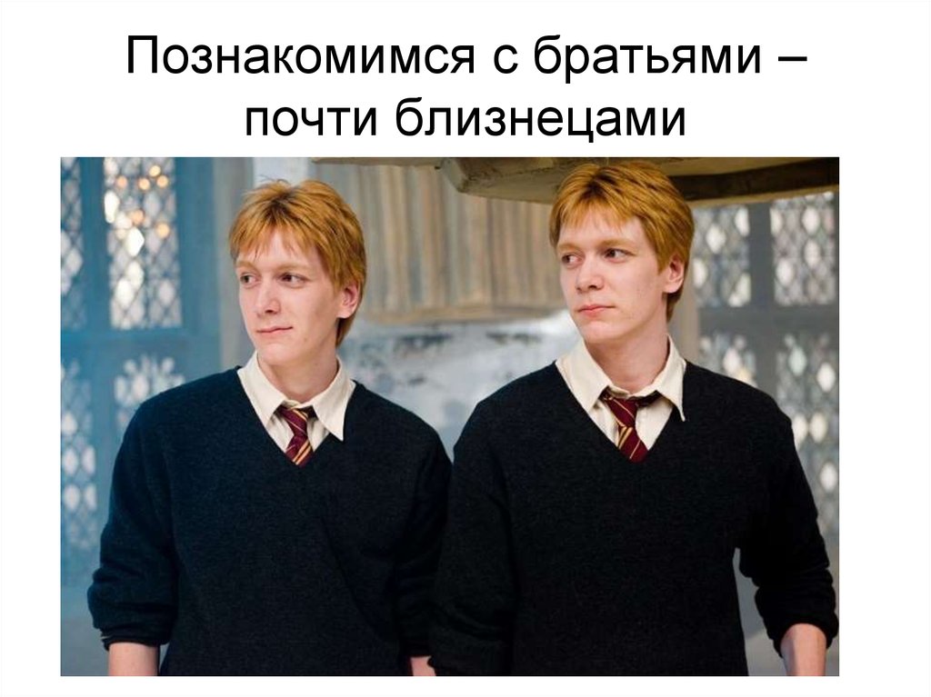 Познакомимся с братьями – почти близнецами