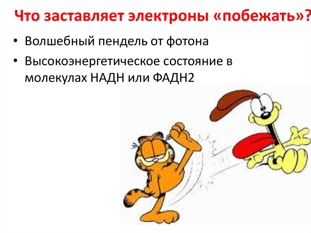 Что заставляет электроны «побежать»?