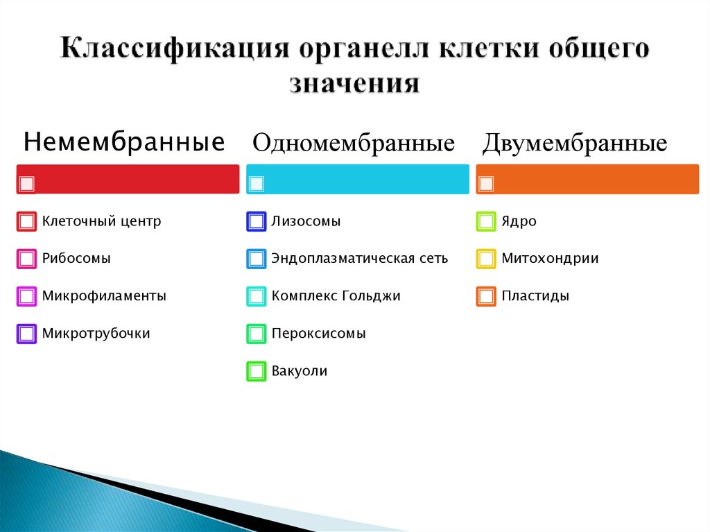 Общий значимый. Классификация органоидов. Классификация органелл гистология. Классификация органоидов клетки. Классификация клеточных органелл.