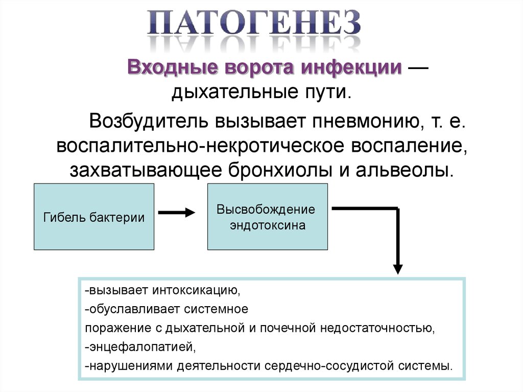 Входные ворота инфекции. Входные ворота инфекций дыхательных путей. Инфекции дыхательных путей патогенез. Входные ворота ВИЧ. Возбудители инфекций дыхательных путей.