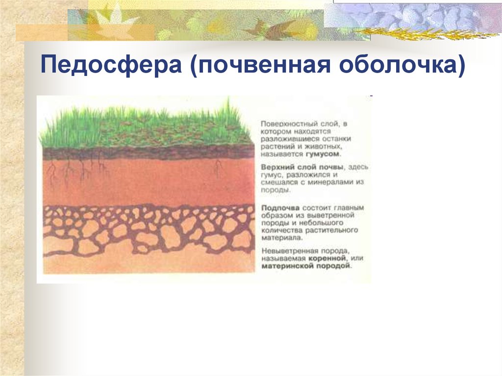 Почва зеркало ландшафта презентация