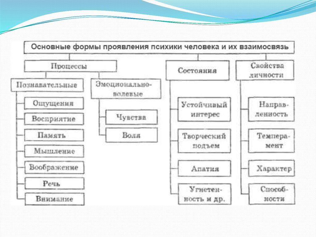 Процессы психики человека. Схема основные формы проявления психики. Формы проявления психики и их взаимосвязь. Перечислите основные формы проявления психики человека. Формы проявления психики таблица.