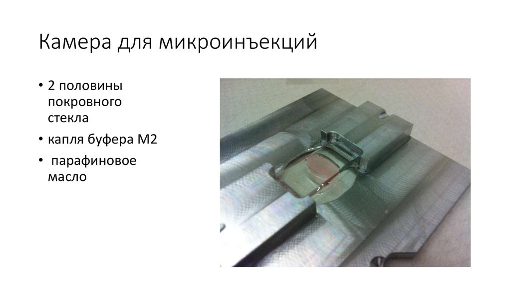 Камера для микроинъекций