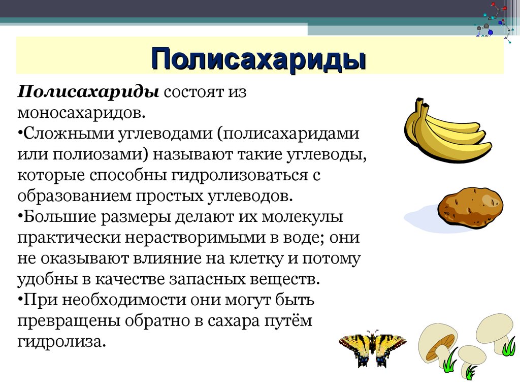 Полисахариды. Биологическая роль полисахаридов. Полисахариды роль в организме. Полисахариды состоят из. Биологические функции полисахаридов.