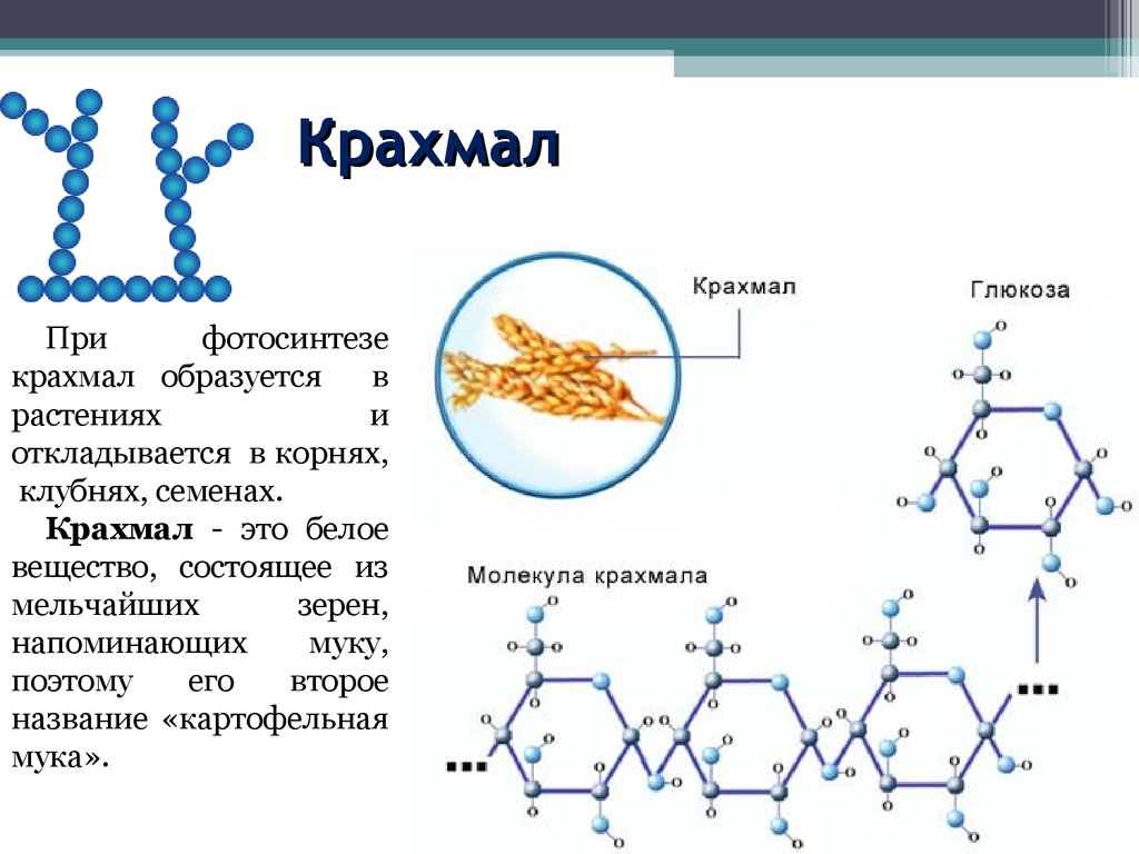 Крахмал картинки химия