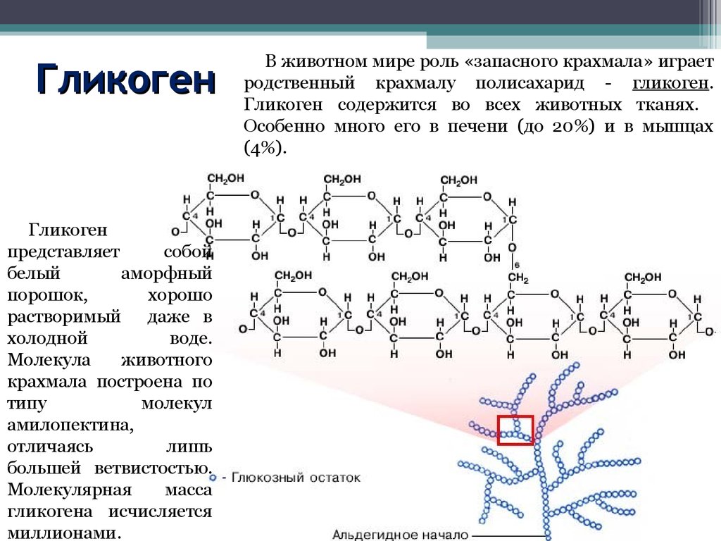 Полисахарид в мышцах и печени. Полимер гликоген формула. Структура гликогена биохимия. Гликоолен структурное звено. Гликоген. Строение макромолекул..