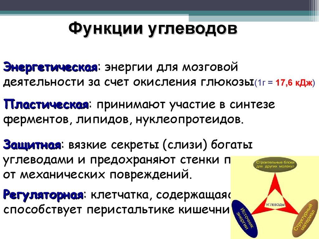 Энергетическая функция белка. Энергетическая функция углеводов. Энергетическая функция углеводов примеры. Регуляторная функция углеводов. Защитная функция углеводов.