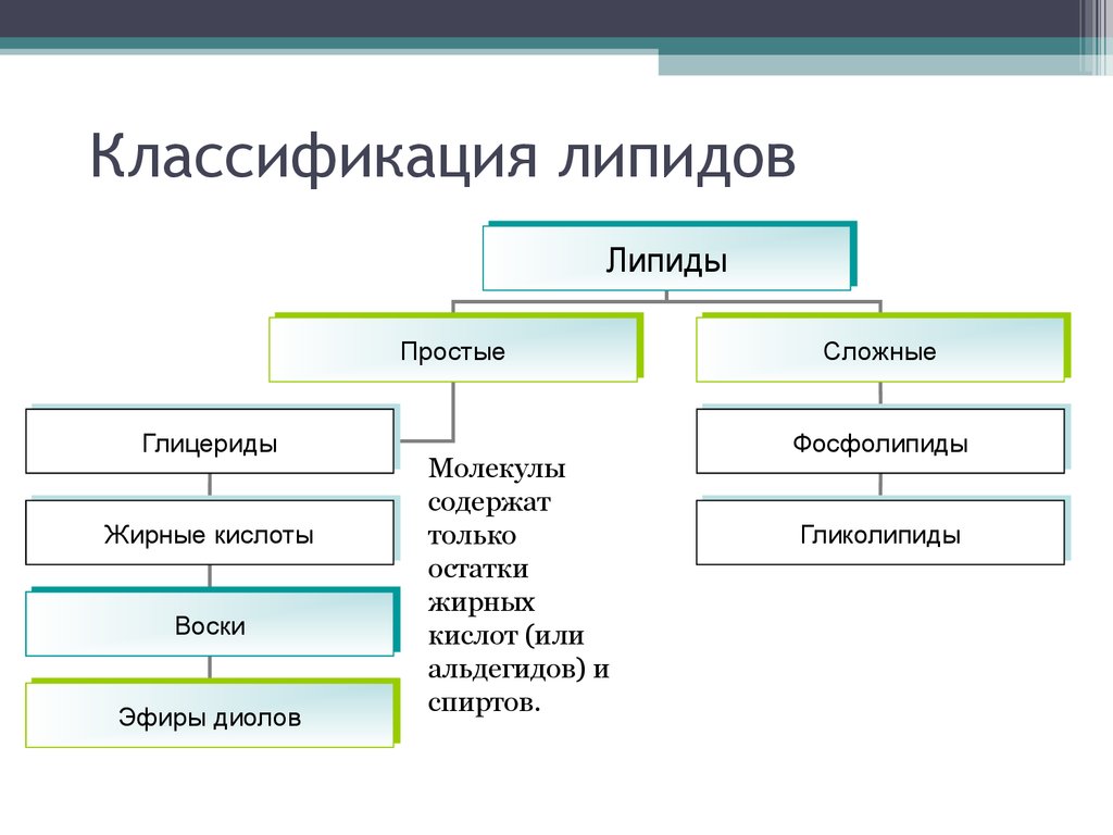 Классификация липидов. Классификация липидов биология 10 класс. Сложные липиды классификация. Классификация липидов жиры и липоиды. Основные классы липидов и их функции.